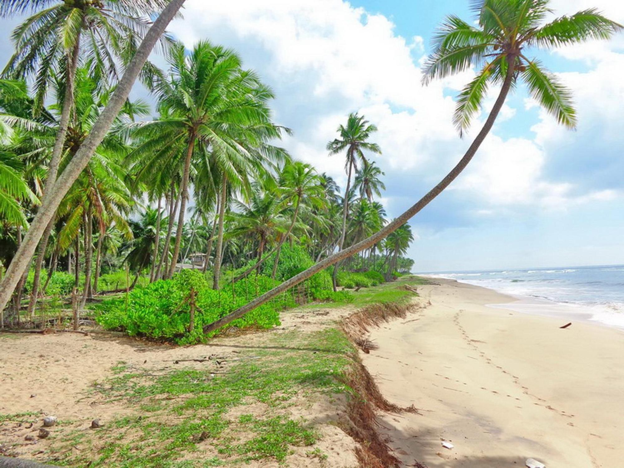 Villa Modara Tangalle Dış mekan fotoğraf